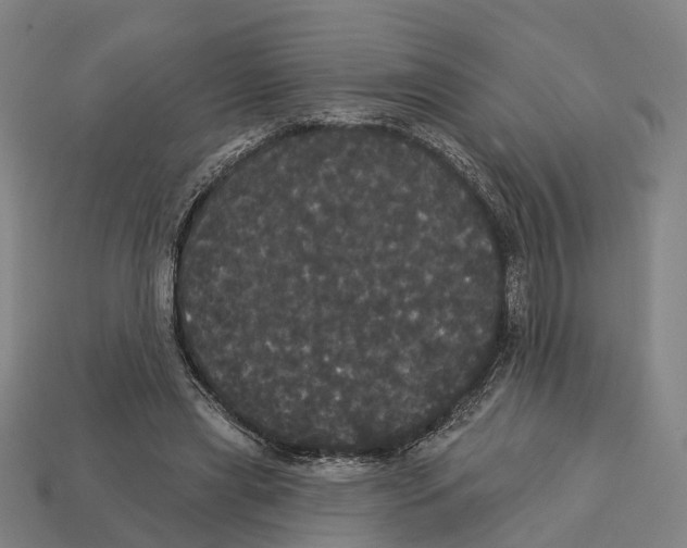 X0000113080445200909250952