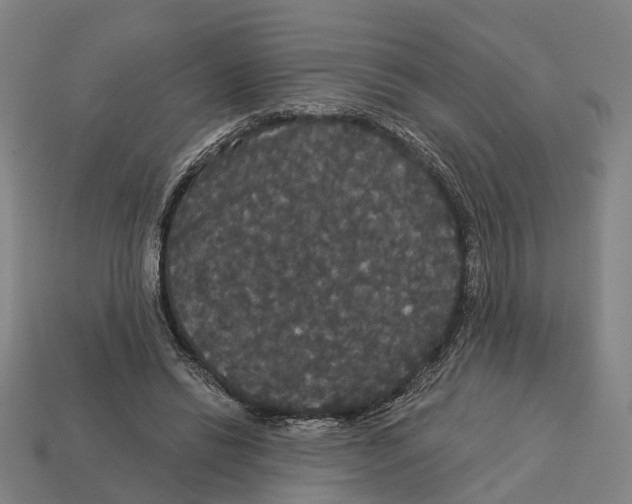 X0000113080446200909250952