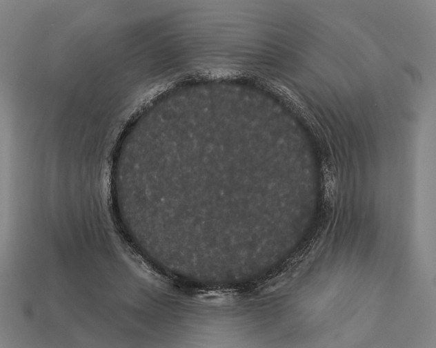 X0000113080447200909250953