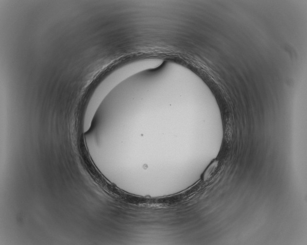 X0000113080448200909250953