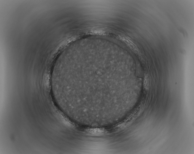 X0000113080449200909250953