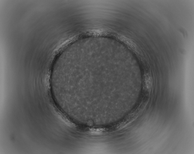 X0000113080450200909250953