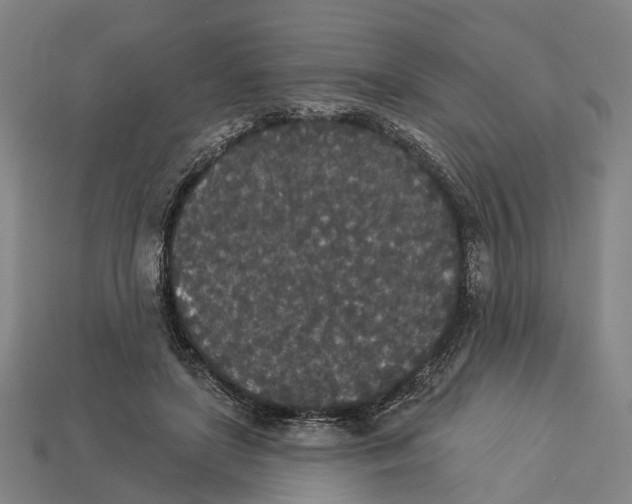 X0000113080451200909250953