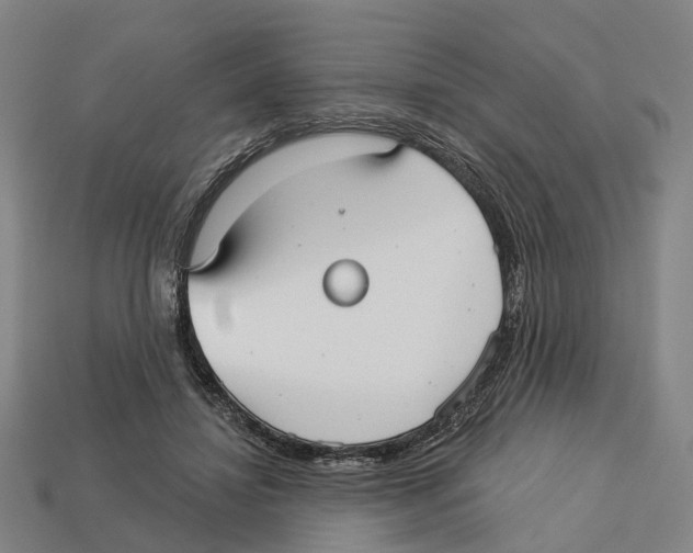 X0000113080452200909250953