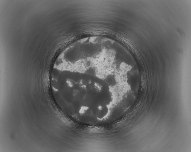 X0000113080453200909250953