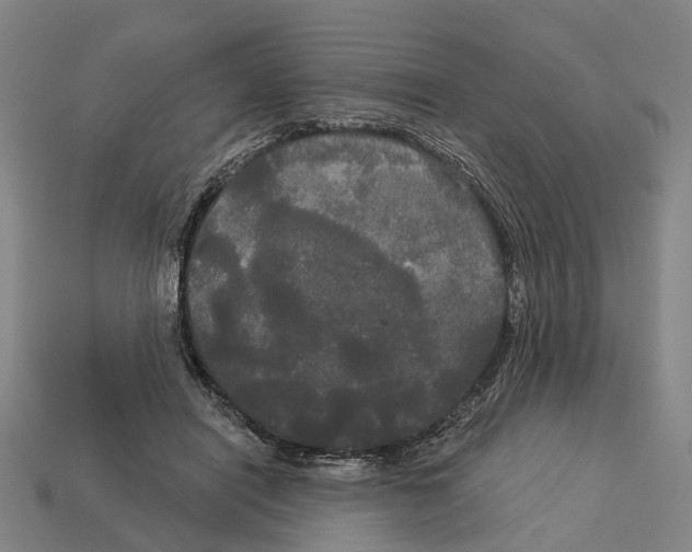 X0000113080454200909250953