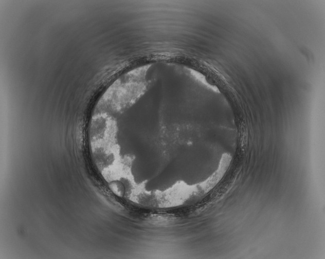 X0000113080455200909250953