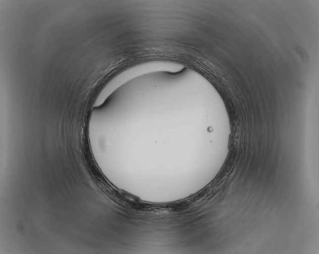 X0000113080456200909250953