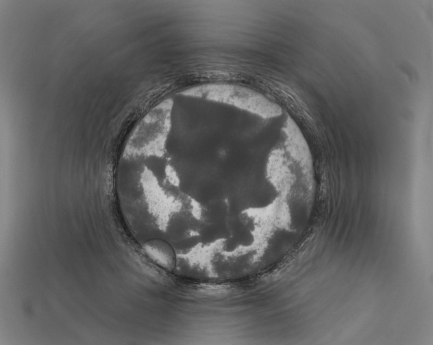 X0000113080457200909250953