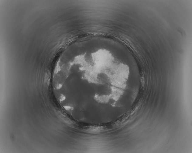 X0000113080458200909250953