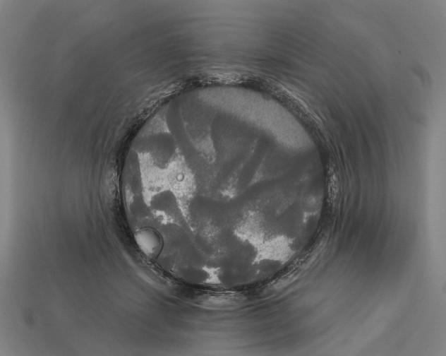 X0000113080459200909250953