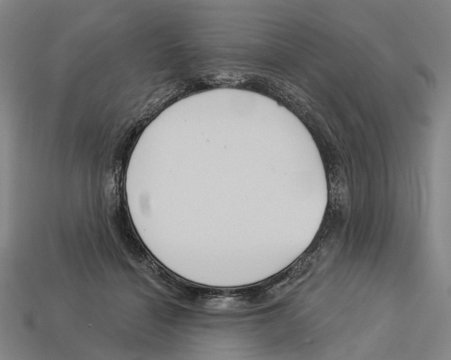 X0000113080460200909250953