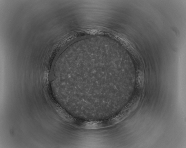 X0000113080461200909250953