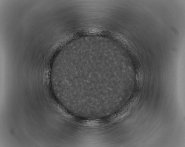 X0000113080462200909250953