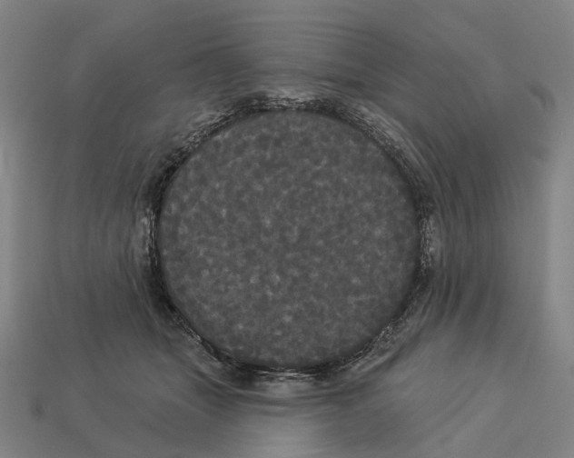 X0000113080463200909250953