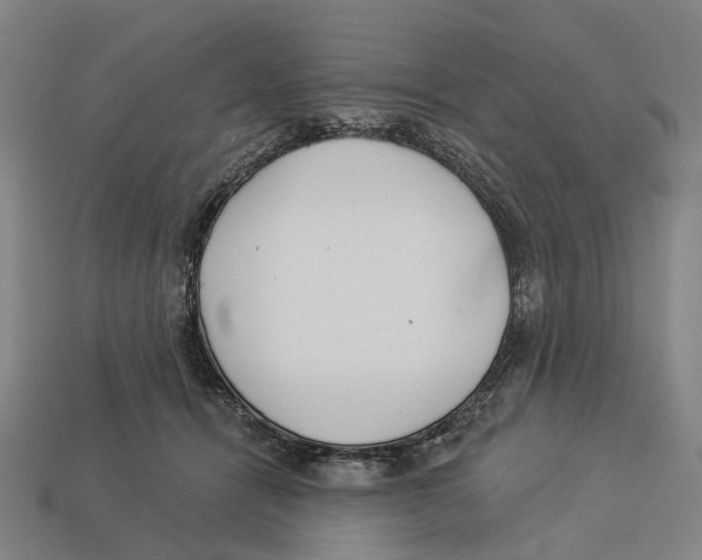 X0000113080464200909250953