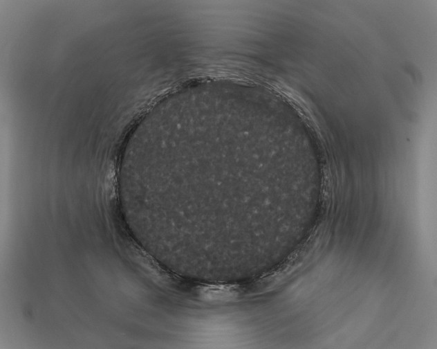 X0000113080465200909250953