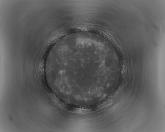 X0000113080466200909250953