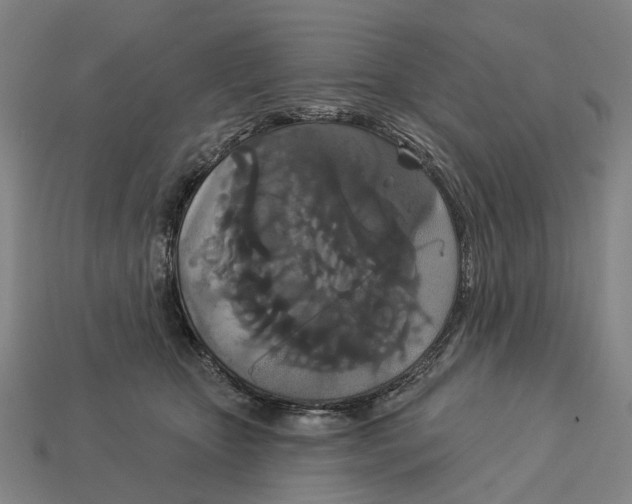 X0000113080467200909250953