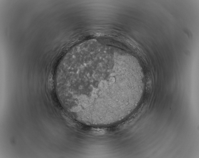 X0000113080469200909250953