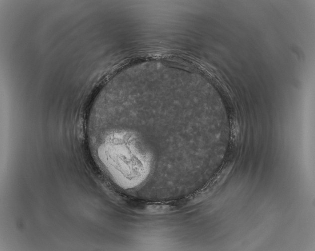 X0000113080470200909250953