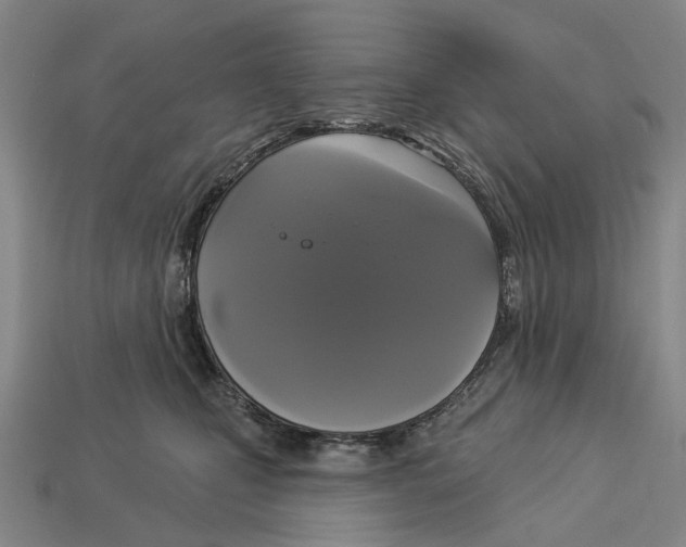 X0000113080471200909250953