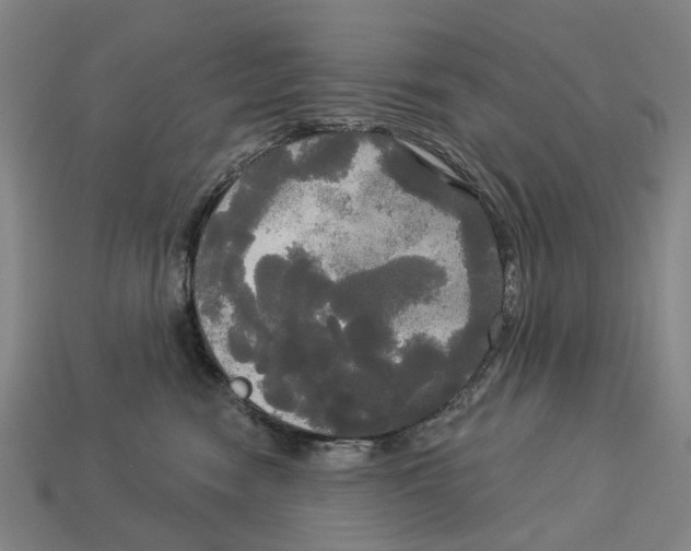 X0000113080474200909250953