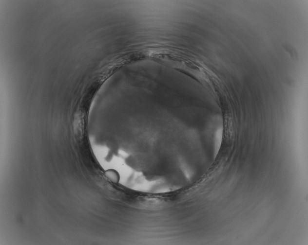 X0000113080475200909250953