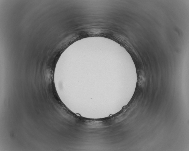 X0000113080476200909250953