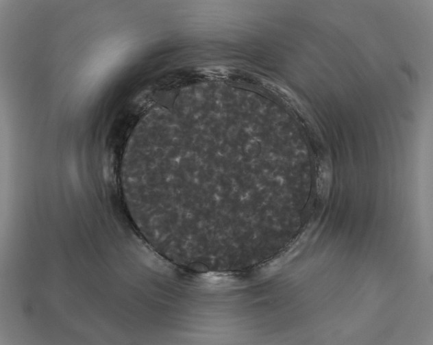 X0000113080477200909250953