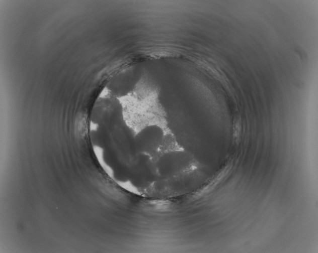 X0000113080478200909250953