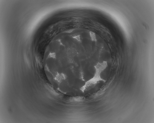 X0000113080479200909250953
