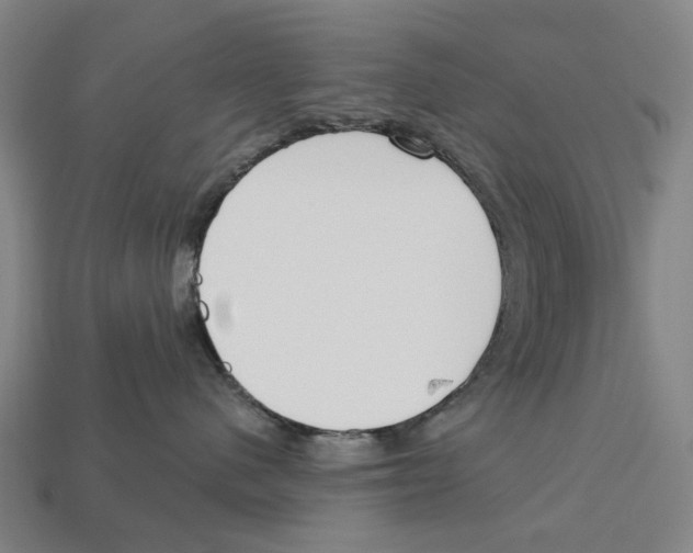 X0000113080480200909250953
