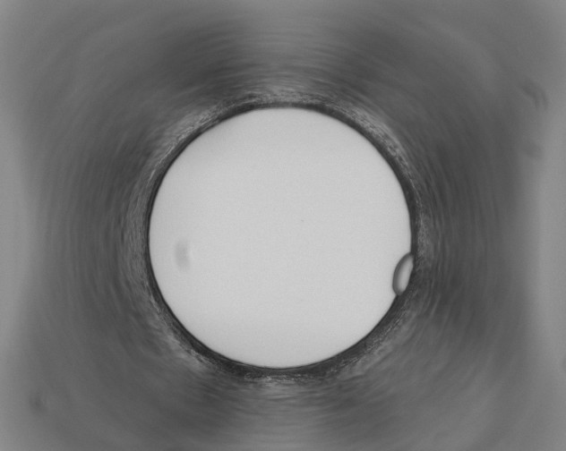 X0000113080481200909250952
