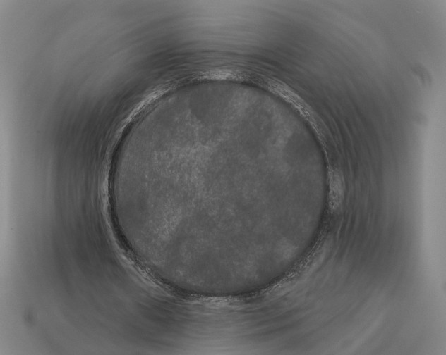 X0000113080482200909250952