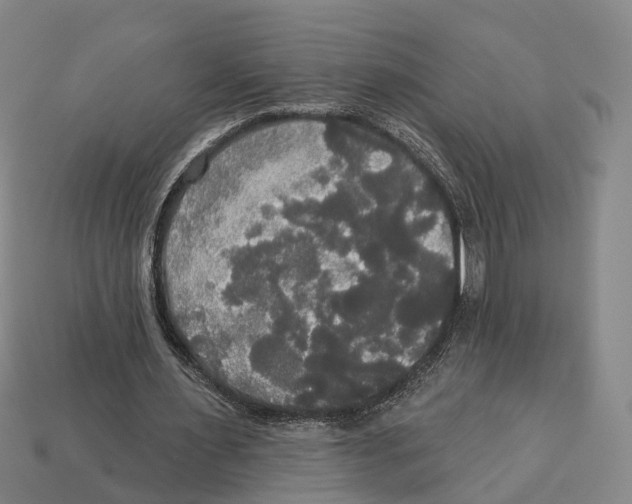 X0000113080483200909250952