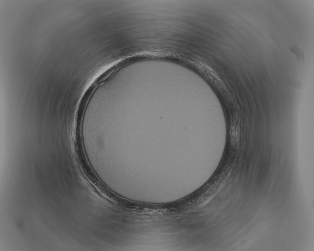 X0000113080484200909250952