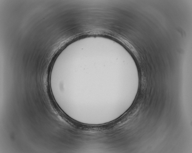 X0000113080485200909250952