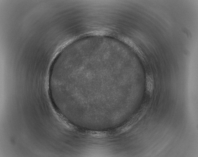 X0000113080486200909250952