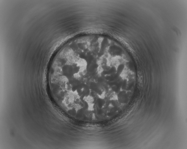 X0000113080487200909250952