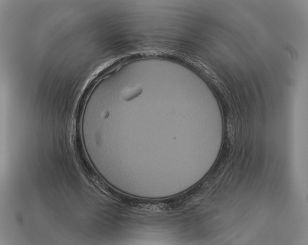 X0000113080488200909250952