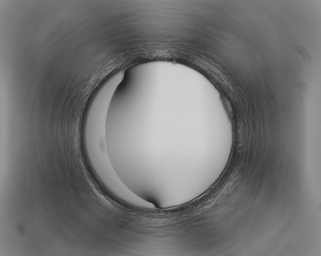 X0000113080489200909250952