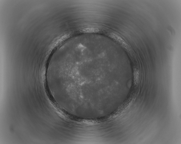 X0000113080490200909250952