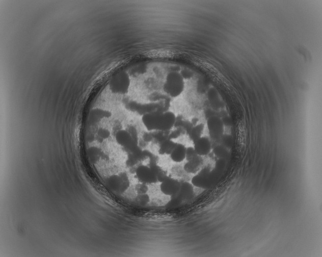 X0000113080491200909250952