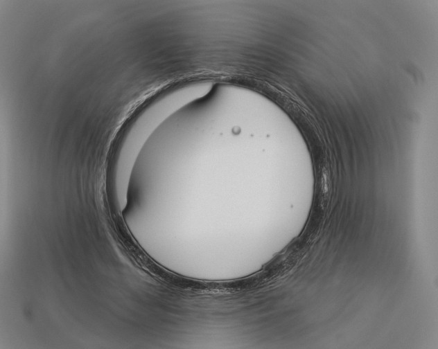 X0000113080492200909250952