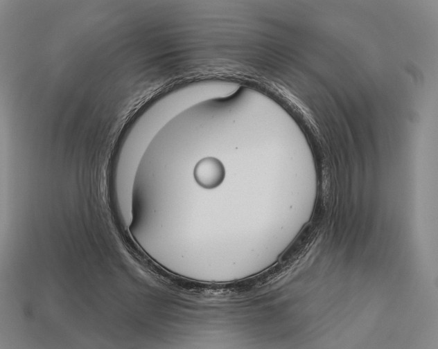 X0000113080493200909250952