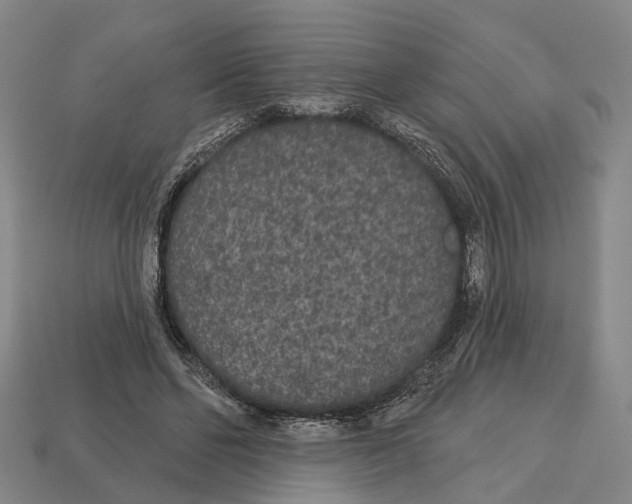 X0000113080494200909250952