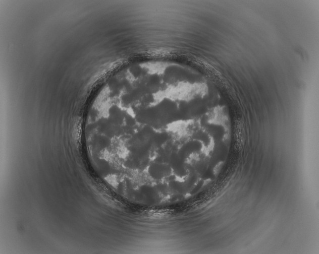X0000113080495200909250952