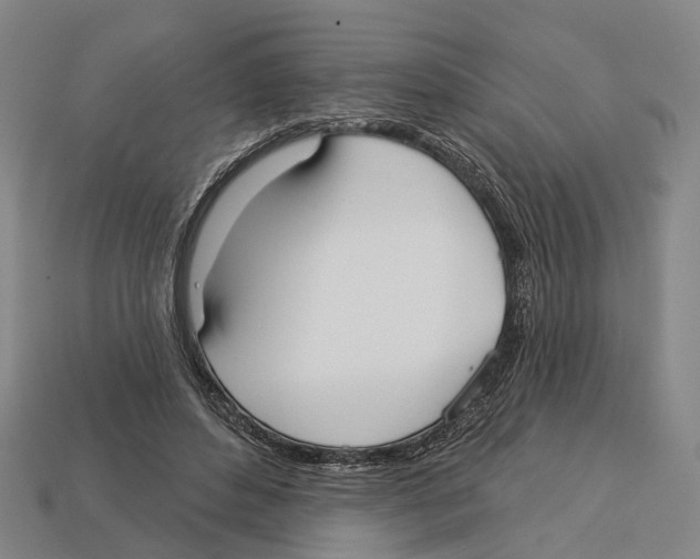 X0000113080496200909250952