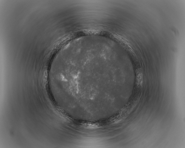 X0000113080498200909250952